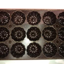 Chocoladevorm bakeliet 15 pralines (13)