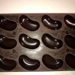 Chocoladevorm bakeliet 12 pralines (17)