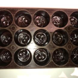 Chocoladevorm bakeliet 15 pralines (21)